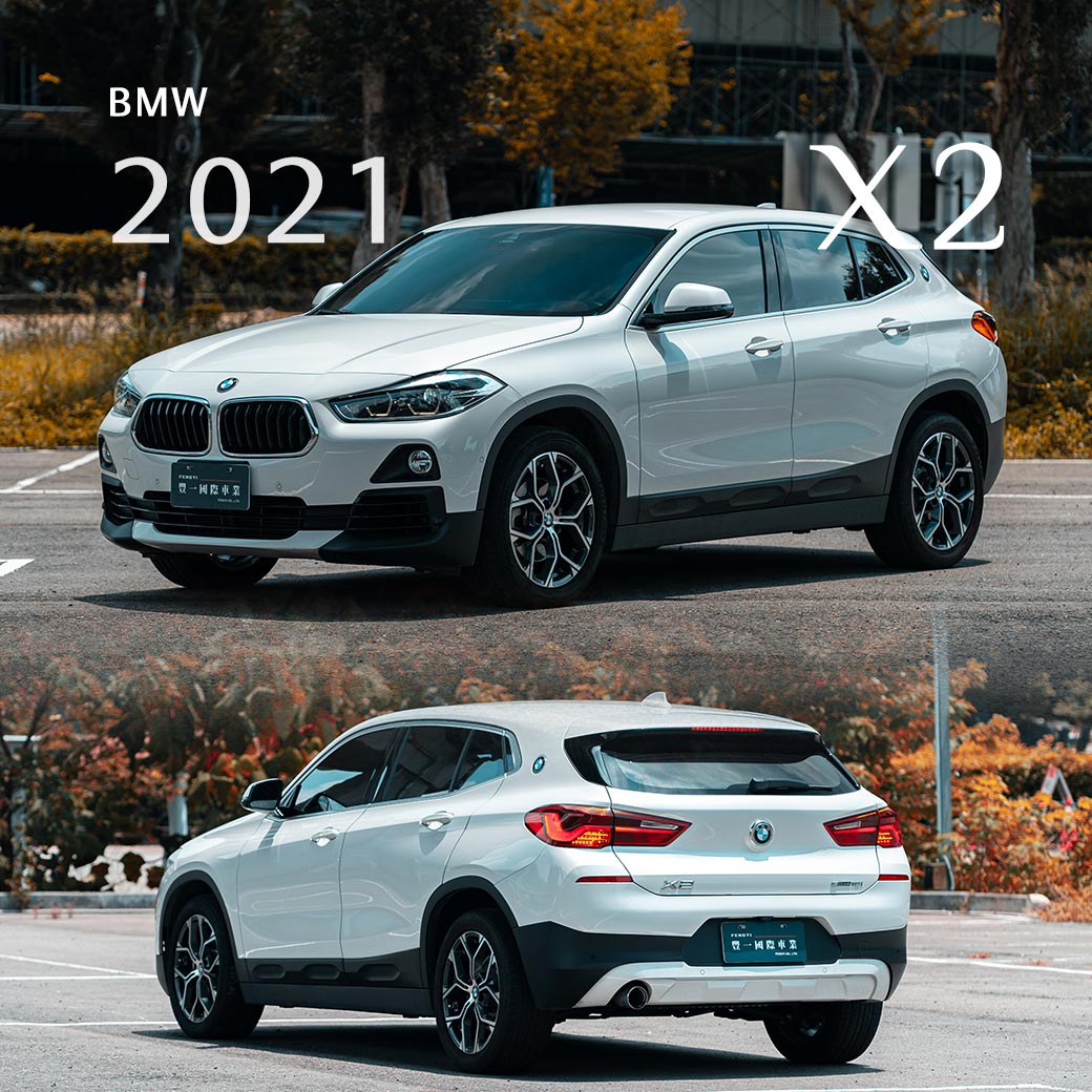 X2 sDrive18i
